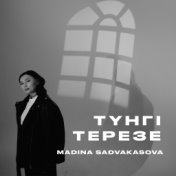 Түнгі терезе