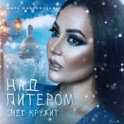 Над Питером снег кружит