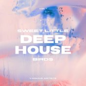 Sweet Little Deep-House Birds, Vol. 1