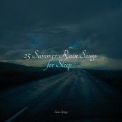 25 Summer Rain Songs for Sleep
