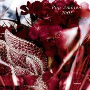 Pop Ambient 2004