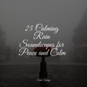 25 Calming Rain Soundscapes for Peace and Calm