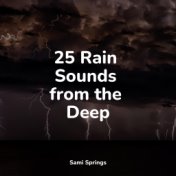25 Rain Sounds from the Deep