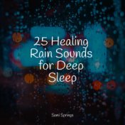 25 Healing Rain Sounds for Deep Sleep