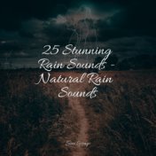 25 Stunning Rain Sounds - Natural Rain Sounds