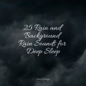 25 Rain and Background Rain Sounds for Deep Sleep