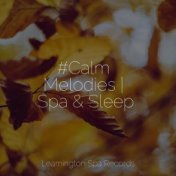 #Calm Melodies | Spa & Sleep