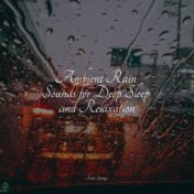 Ambient Rain Sounds for Deep Sleep and Relaxation