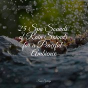 25 Spa Sounds of Rain Sounds for a Peaceful Ambience