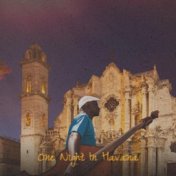 One Night In Havana