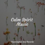 Calm Spirit Music