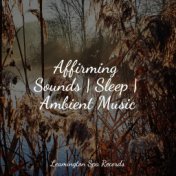 Affirming Sounds | Sleep | Ambient Music