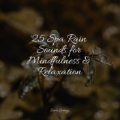 25 Spa Rain Sounds for Mindfulness & Relaxation