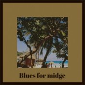 Blues for midge