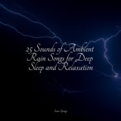25 Sounds of Ambient Rain Songs for Deep Sleep and Relaxation