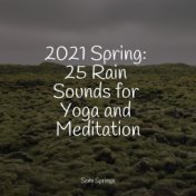 2021 Spring: 25 Rain Sounds for Yoga and Meditation