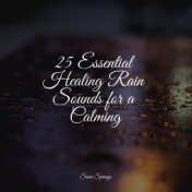 25 Essential Healing Rain Sounds for a Calming