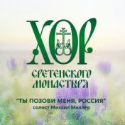 Ты позови меня, Россия