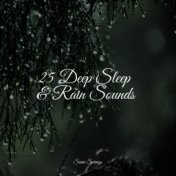 25 Deep Sleep & Rain Sounds