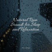 Natural Rain Sounds for Sleep and Relaxation