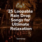 25 Loopable Rain Drop Songs for Ultimate Relaxation