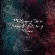 25 Spring Rain Sounds of Spring Peace