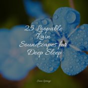 25 Loopable Rain Soundscapes for Deep Sleep