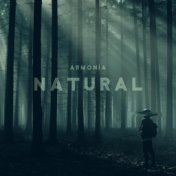 Armonía Natural (Sonidos del Bosque para Meditación Profunda y Sanación Espiritual)