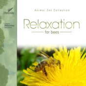 Relaxation for Bees