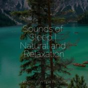 Sounds of Sleep | Natural and Relaxation