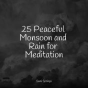 25 Peaceful Monsoon and Rain for Meditation