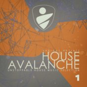 House Avalanche, Vol. 1