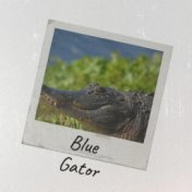 Blue Gator