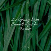 25 Spring Rain Soundscapes for Babies