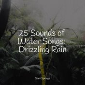 25 Sounds of Water Songs: Drizzling Rain