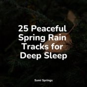 25 Peaceful Spring Rain Tracks for Deep Sleep