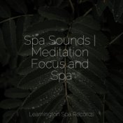 Spa Sounds | Meditation Focus and Spa