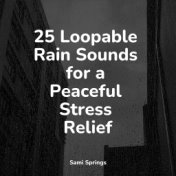 25 Loopable Rain Sounds for a Peaceful Stress Relief