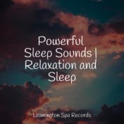 Powerful Sleep Sounds | Relaxation and Sleep