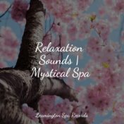 Relaxation Sounds | Mystical Spa