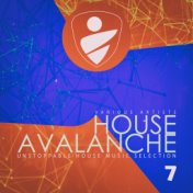 House Avalanche, Vol. 7