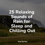 25 Relaxing Sounds of Rain for Sleep and Chilling Out