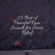 25 Best of Peaceful Rain Sounds for Stress Relief