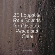 25 Loopable Rain Sounds for Absolute Peace and Calm