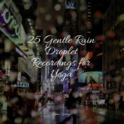 25 Gentle Rain Droplet Recordings for Yoga