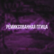 Ремиксованная птица