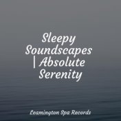 Sleepy Soundscapes | Absolute Serenity