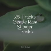 25 Tracks Gentle Rain Shower Tracks