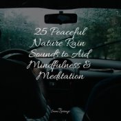 25 Peaceful Nature Rain Sounds to Aid Mindfulness & Meditation