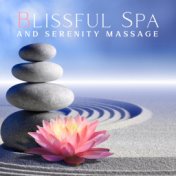 Blissful Spa and Serenity Massage (Healing Hands Massage and Calmness of Mind)